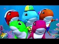 Five Little Baby Shark + More Nursery Rhymes And Cartoon Videos by Kids Tv Baby Shark