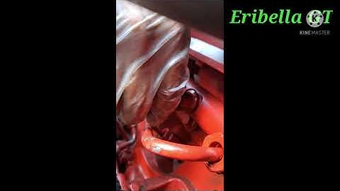 Code SPN 157 fmi 7, big truck Engine runs rough, misfire 🤔 😩