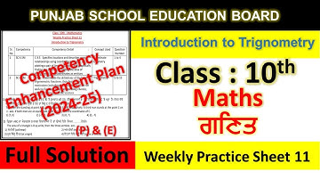 pseb competency based paper class 10th maths worksheet 11 test 2024
