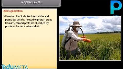 Class 10th SCIENCE BIOLOGY Our Environment