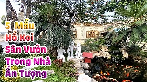 5 Tiểu Cảnh Hồ Koi Thác Nước Ngoài Trời Và Trong Nhà Đẹp