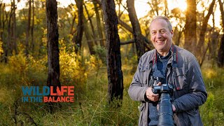 Simon Mustoe talks about 'Wildlife in the Balance'