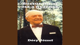 Video thumbnail of "József Dóry - Sárga a csikóm"