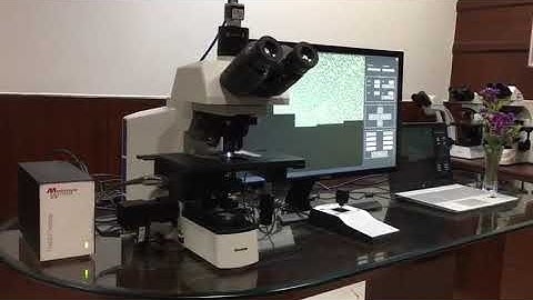 Dewinter Motorized Microscope with Auto Slide Scanner Software