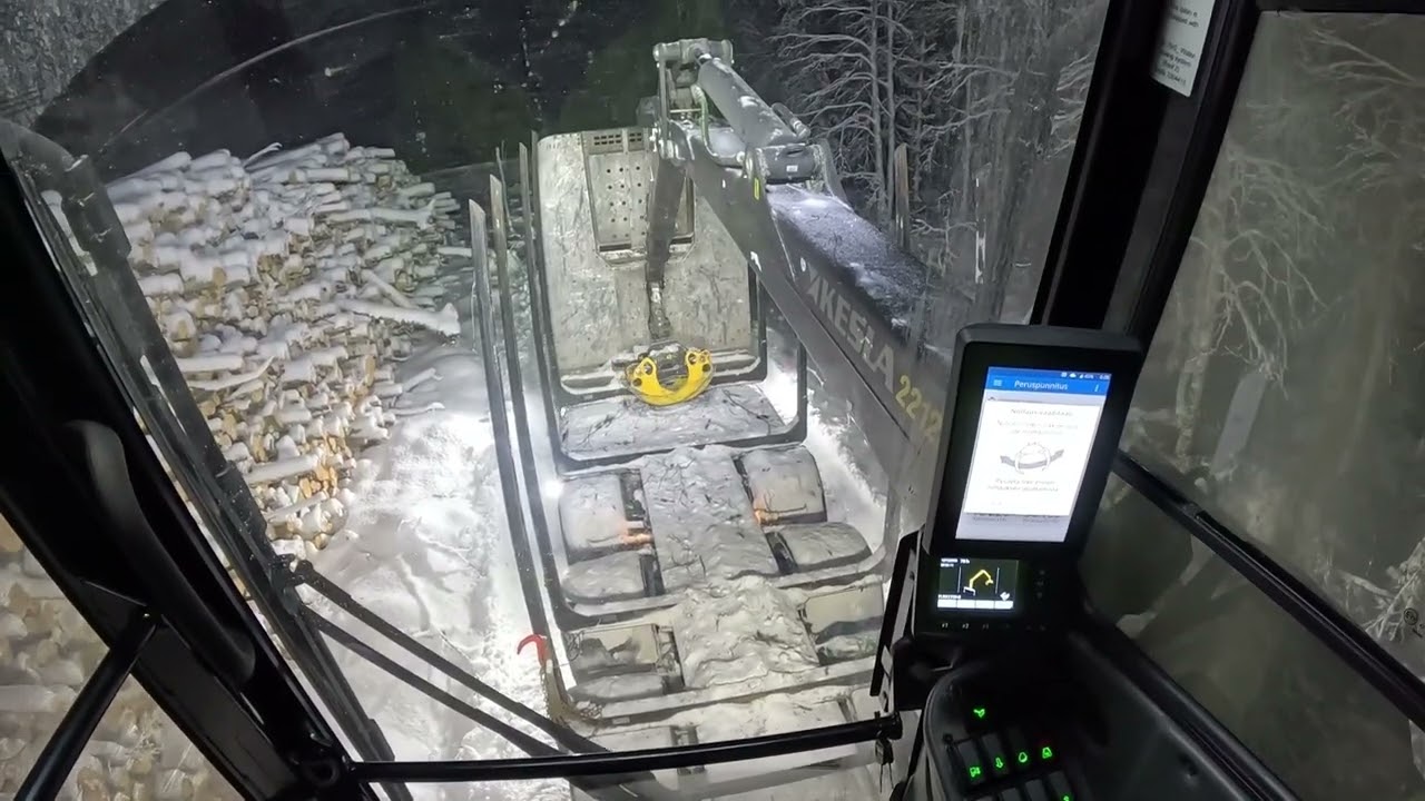 Talvitie ja koivun nappulointia