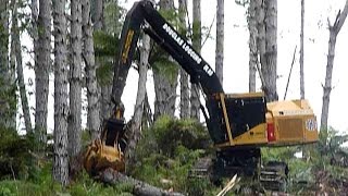 forest harvesting machines new zealand