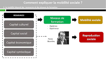 Comment expliquer la mobilité sociale en France dissertation ?
