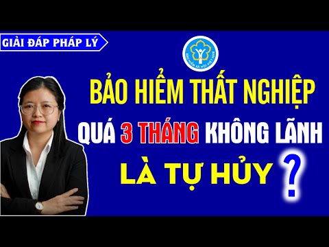 Video: Tôi sẽ nhận được bao nhiêu thất nghiệp ở Wisconsin?