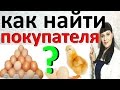 ФЕРМЕРУ как ПРОДАТЬ, где найти ПОКУПАТЕЛЕЙ / Сбыт продукции птицеводства