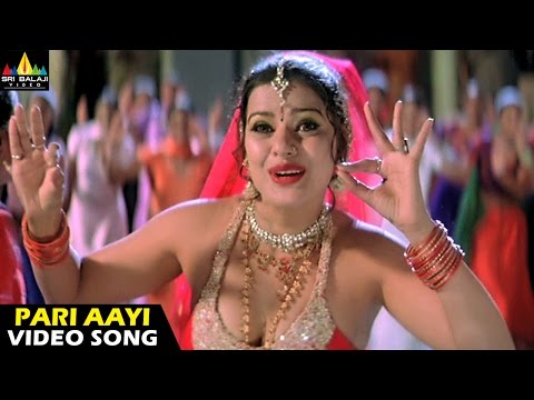 Andhrudu Songs | Pari Aayi Video Song | Gopichand, Gowri Pandit | Sri Balaji Video