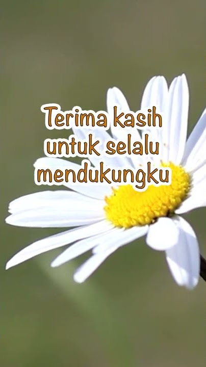 UCAPAN TERIMA KASIH UNTUK ISTRI - Afirmasi Cinta Untuk Istri