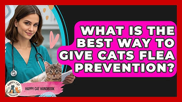 What Is The Best Way To Give Cats Flea Prevention? - Happy Cat Handbook
