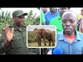 AUWAWA NA TEMBO AKIWA SHAMBANI KWAKE KULINDA MAZAO FAMILIA VIONGOZI WAZUNGUMZA KWA UCHUNGU AUWAWA NA TEMBO AKIWA SHAMBANI KWAKE KULINDA MAZAO FAMILIA VIONGOZI WAZUNGUMZA KWA UCHUNGU