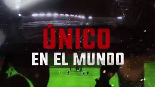Así Es El Nuevo Estadio Nemesio Diez
