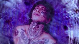 LiL Lotus - "Never Felt Better"