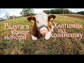 Красивый ноябрьский день. Дела по хозяйству