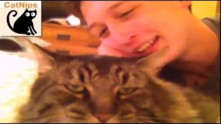 Grumpy Cat Claws And Attacks Vine Star Kid | CatNips