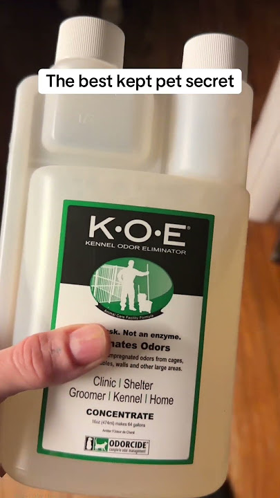 Clean pet spaces with odor eliminator, not masks! #koe #petparents #fok