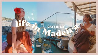 Life in MADEIRA Vlog | Lululemon haul, beach walks, yoga (regular life, non touristy things)