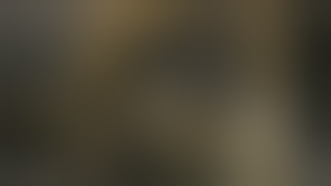 indianadiesel.com run in on a 3056E