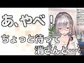 イラストを描くためにiPadをPCに繋げたらアイドルとしてあるまじきものを映してしまった白銀ノエル