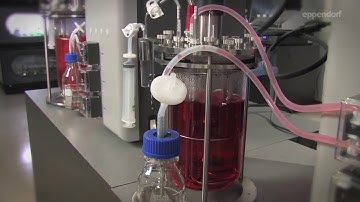 Eppendorf - LabTeamet - BioFlo CelliGen 115