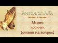 Антонюк А.С. "Много косичек" (ОТВЕТ НА ВОПРОС) - МСЦ ЕХБ