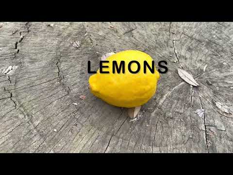 DirtyBlakRat- Lemons (Official Music video)