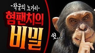 혐팬치의 비밀 - 왁굳의 노가리