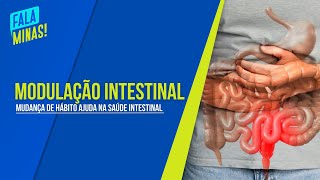 MODULAÇÃO INTESTINAL: MUDANÇA DE HÁBITOS PODE AJUDAR NA RECUPERAÇÃO DA FLORA INTESTINAL