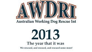 AWDRI - 2013 - The year that was by Australian Working Dog Rescue 419 views 10 years ago 2 minutes, 47 seconds