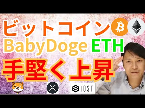 ビットコイン, BabyDoge, イーサリアム手堅く上昇で今後の値動きは⁉【仮想通貨BTC, ETH, XRP, IOST, BabyDogeチャート分析】