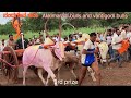 Nandagaon kana akkimaradi bulls and vantigodi bulls  3rd prize