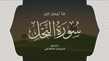 آيات من اواخر سورة النحل بصوت القارئ شريف مصطفى Sherif Mostafa