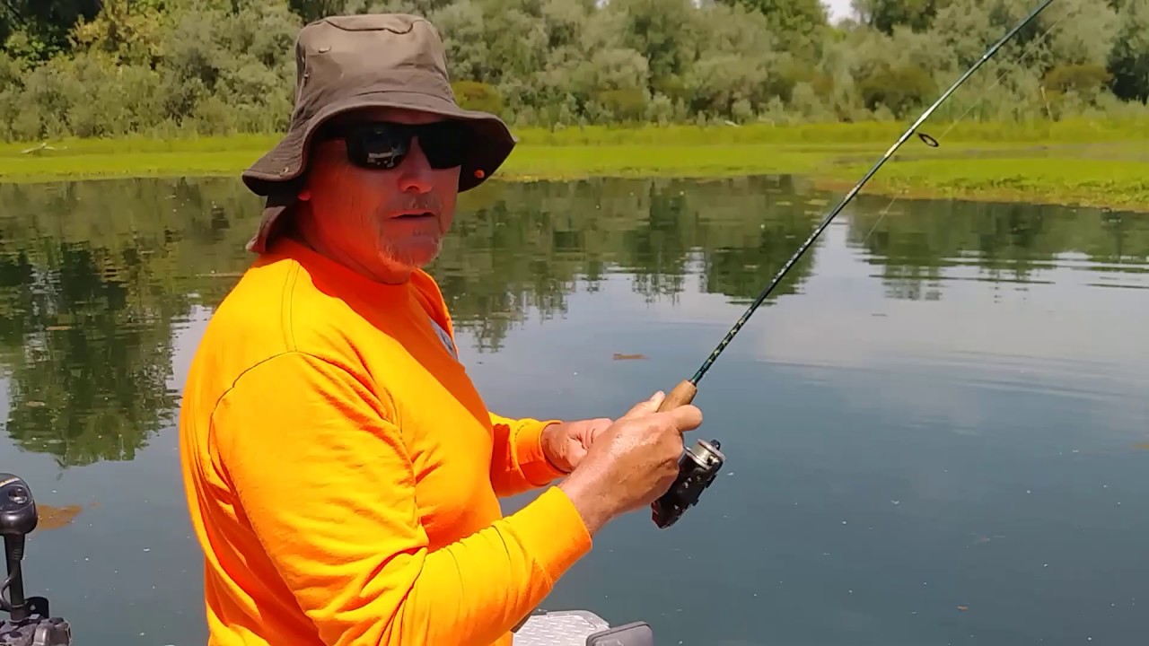 ~Largemouth, Smallmouth or Spotted?~ - YouTube