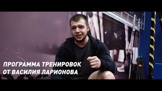Программа тренировок от Василия Ларионова