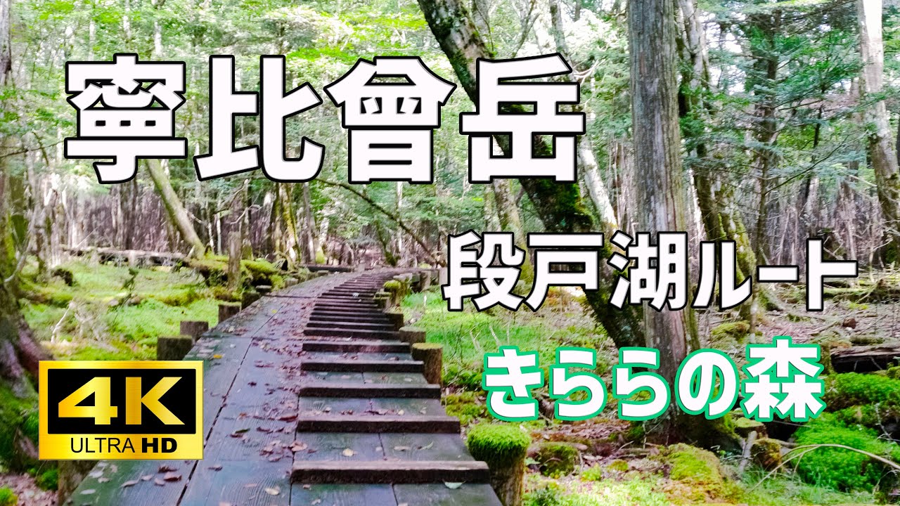 【4K】愛知県豊田市の最高峰【寧比曾岳】を登りました。🎵