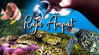 Raja Ampat | Snorkeling and Exploring the Last Paradise!