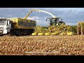 John Deere - Fendt - MAN / Maissilage - Silaging Maize  2020