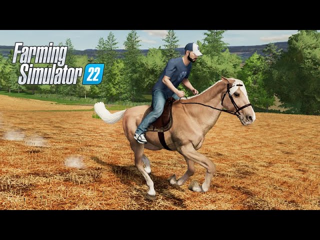 Horse World - Cavalo bonito na App Store