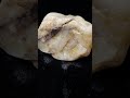 Exploring Milky Quartz from the Chihuahuan Desert
