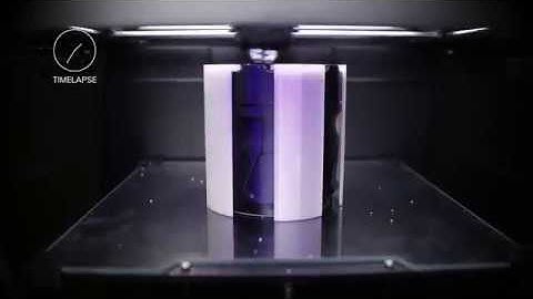 Timelapse of 3D Printing Without Raft on Zortrax M300 Dual