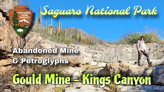 Gould Mine & Kings Canyon Petroglyphs | Saguaro National Park West