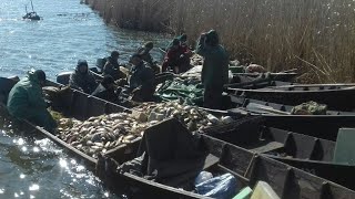 Прямой Эфир. Запрет Промлова? Почему Не Зпрещают Пром Лов и сети в Днепре