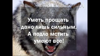Мудрые мысли, полезные цитаты для всех и каждого 6 Мудрые мысли, полезные цитаты для всех и каждого 6