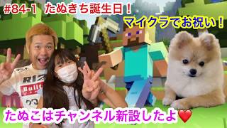 ＃84-1 【総集編１】マイクラでたぬ誕生日のお祝い【たぬこはチャンネル新設記念】