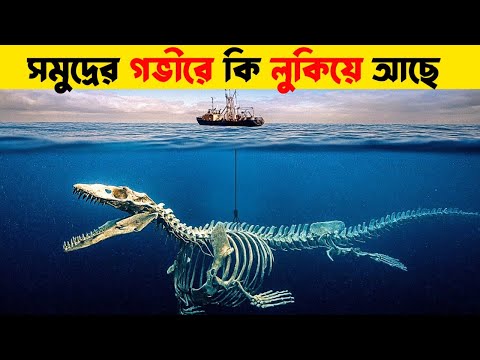 সমুদ্রের নিচে কি আছে - এটা দেখে হয়তো আপনারও বিশ্বাস হবে না | What is below the ocean ? 