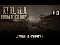 S.T.A.L.K.E.R.: Тень Чернобыля на 100% #13: Дикая территория (Мастер).