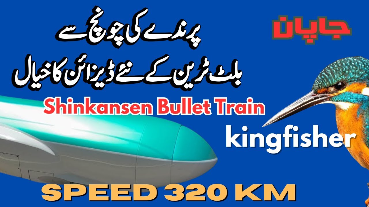 Biomimicry Explained: Kingfisher Bird & Bullet Train Innovation - YouTube