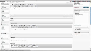 How to Install the Wordpress Widget for Deals